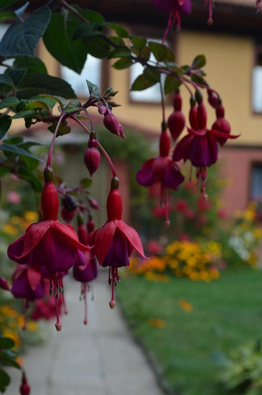 Guest House Zlatniyat Telets Копривштица Экстерьер фото